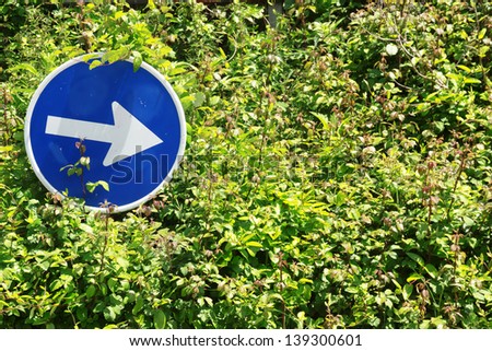 one way direction obligatory traffic sign with plants