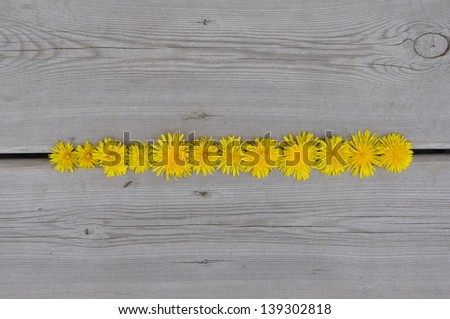Flowers on the floor