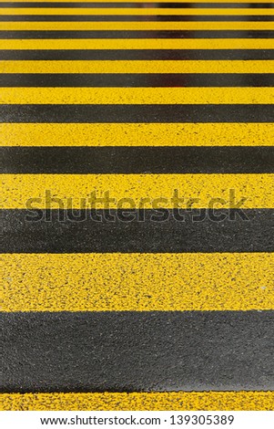 close-up view of yellow zebra
