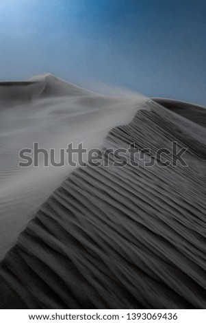 Magical view of the dunes when the wind is blowing. 