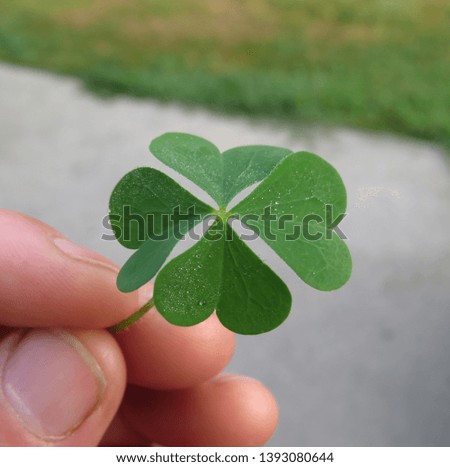 
Lucky little man. For-leaf clover				