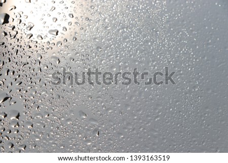 Water drops on a window glass after the rain. The  sun on background.