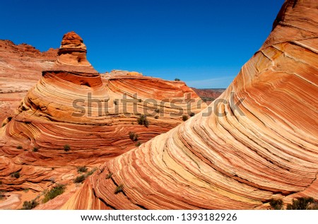 Beautiful yellow and red striated soft sandstone formation. The Wave, Vermilion North Coyote Buttes, Paria Canyon-Vermilion Cliffs Wilderness, Vermilion National Monument, Arizona, USA
