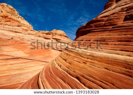 Beautiful yellow and red striated soft sandstone formation. The Wave, Vermilion North Coyote Buttes, Paria Canyon-Vermilion Cliffs Wilderness, Vermilion National Monument, Arizona, USA