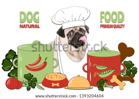 Dog  premium and natural food concept, healthy pet food.  Photo and illustration, cartoon style. Photo of a pug cooking around cooking utensils, dishes and food.