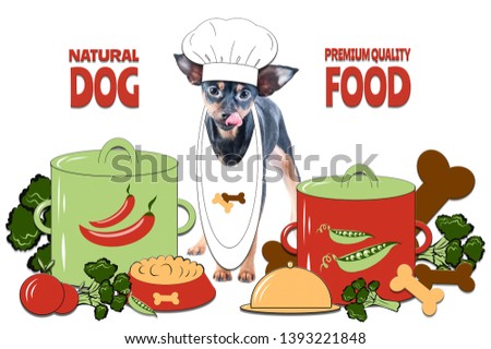 Dogs food concept, healthy pet food. Cooked with love. Photo and illustration, cartoon style. Photo of a dog cooking around cooking utensils, dishes and food.