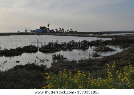 The beautiful natural Wetland Limassol Salt Lake landscape in Cyprus
