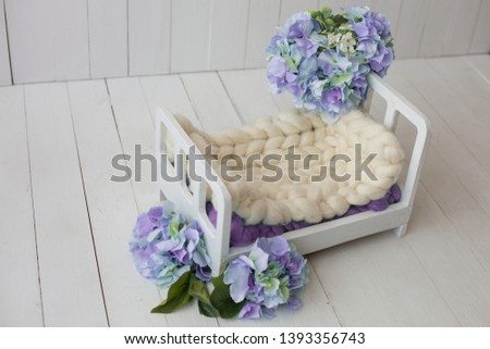 crib for newborn photo shoot. props for the photo shoot. hydrangeas