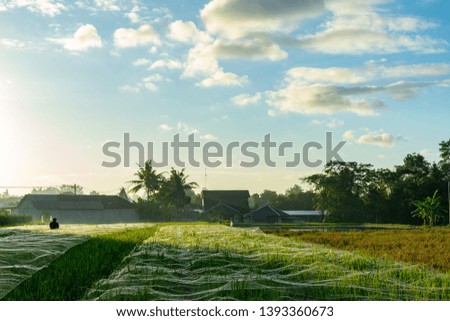 Morning glory from the farmland with bright sky