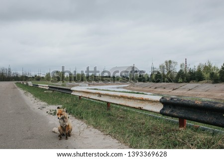 Fox and Chernobyl NPP. Chernobyl. Royalty-Free Stock Photo #1393369628