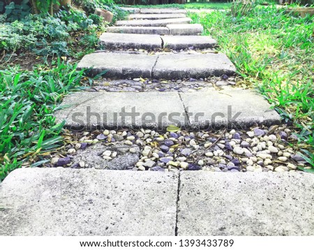 Stone path winding in a garden