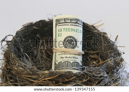 Dollar bills in a bird nest
