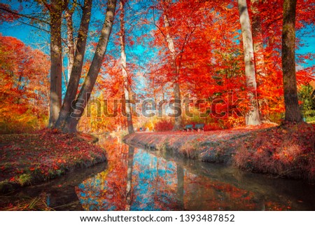 Beautiful Autumn Scenery in Park in Munich, Germany