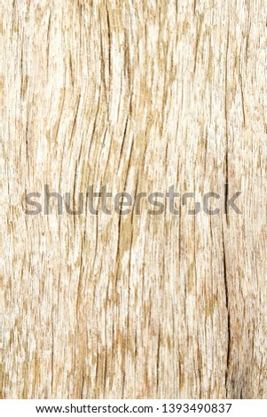 Background of Vintage Wooden Wall and Floor 