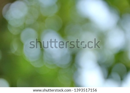 Soft Light Background Bokeh Picture