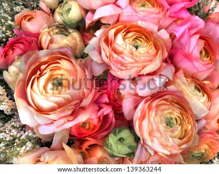 Bouquet of pink peony. Floral pattern.