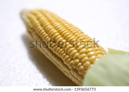 Fresh Corns on white background 