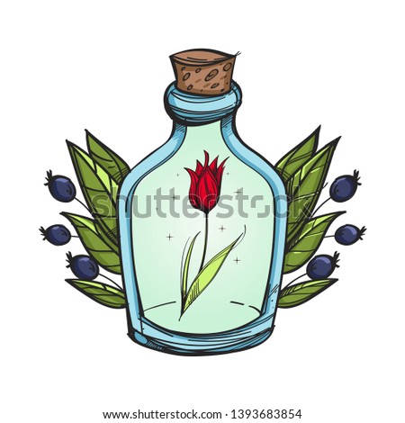 Edelweiss in a bottle on a white background. Cartoon style.