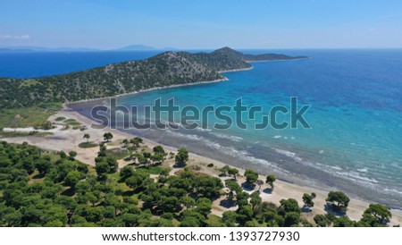 Aerial drone photo from famous natural Park and wetland of Schinias with rare Pine trees and turquoise clear waters, Marathon, Attica, Greece