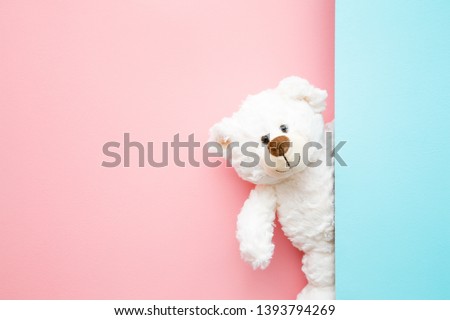 Smiling white teddy bear looking behind pastel blue wall. Mock up for happy, positive idea. Empty place for inspiration, emotional, sentimental text, quote or sayings on pink background. 