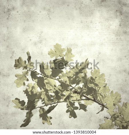 textured stylish old paper background, square, with young oak leaves 