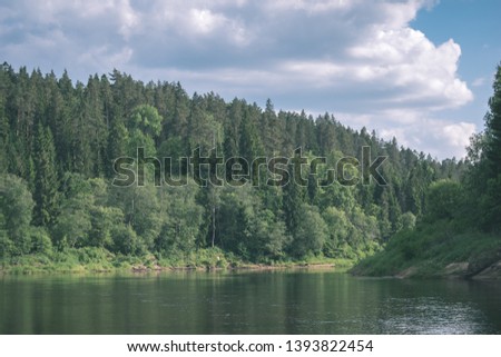 calm river with reflections of trees in water in bright green foliage in summer in forest near Cesis, Latvia. River of Gauja in evening sun with sandstone cliffs - vintage old film look