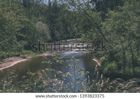 calm summer day view by the lake with clean water and water grass, bents, and green foliage near forest - vintage retro look