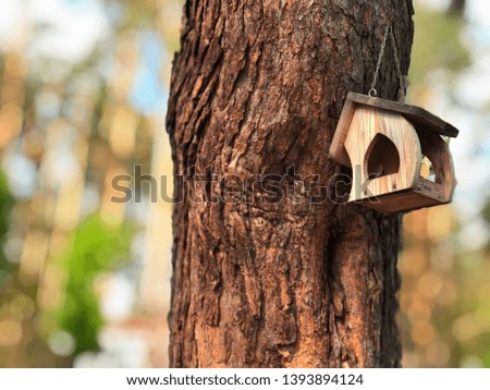Bird feeder on a tree in the park. Birdhouse on the tree for birds and squirrels. Blurred Background
