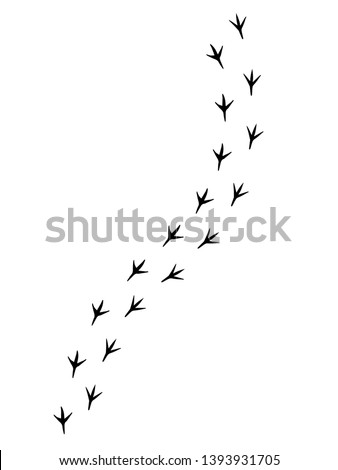 Vector black bird paw steps road isolated on white background