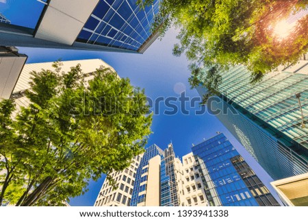Fresh green trees and buildings