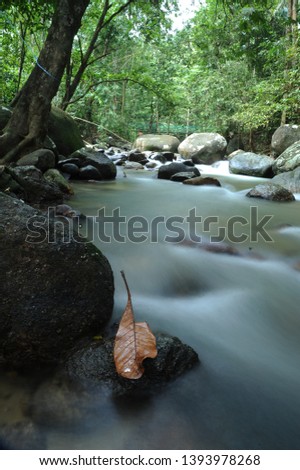 A slow shutter photo of a leave on a rock near the waterfall. Nature concept.