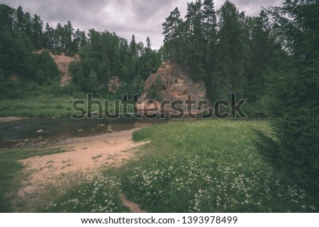 rocky stream of river deep in forest in summer green weather with sandstone cliffs and old dry wood trunks. Amata river in Latvia near Cesis - vintage old film look