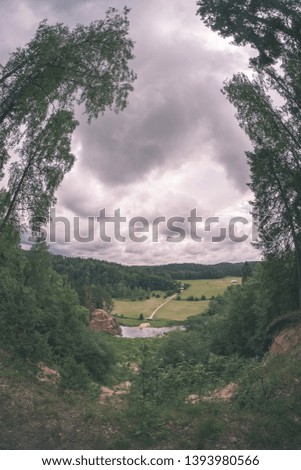 large trees agains blue sky, view from below. green foliage and leaves - vintage retro look