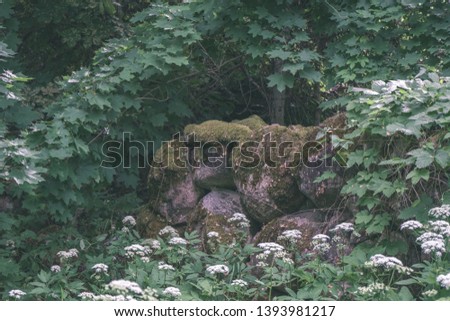 large granite rock single in nature environment isolated from other - vintage retro film look