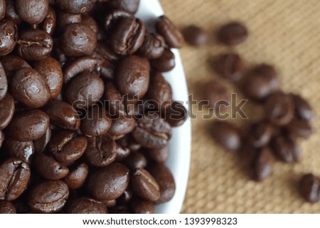 coffee bean Arabica of thailand