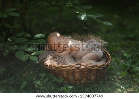 Newborn baby in a basket among the leaves, newborn outdoor photography