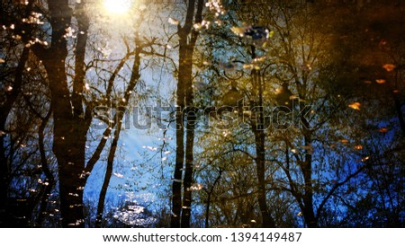 Reflections in puddles or lake of buildings, boat or trees and street lamps.