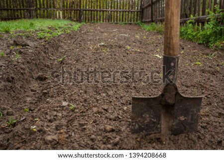 work in the garden in the spring planting plants
