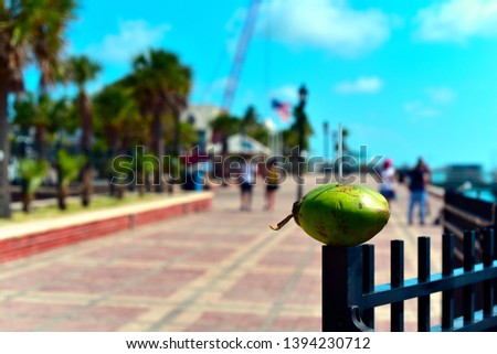 A coconut with a drinking straw, sitting on a black iron fence, in front of Mallory Square in Key West, Florida, with very shallow depth of field.