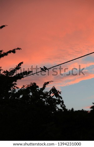 Pair of birds on a wire against a red and blue sky sunset