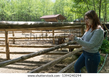 Girl holding smart phone and taking picture of horses in a farm and wood stick