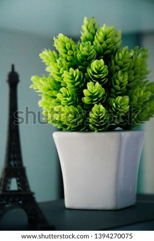 Desk plant and Miniature of Eiffel Tower 