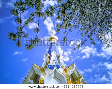 Tree with white flowers on the background of the Trinity-St. George monastery in Sochi