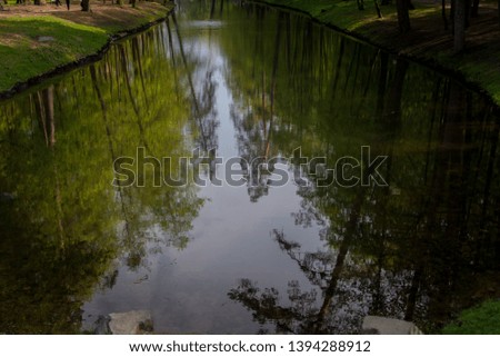 reflection in the river green forest on summer day, green summer day mixed forest