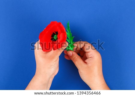  Diy paper red poppy Anzac Day, Remembrance, Remember, Memorial day made of crepe paper on blue background. Symbol war. Gift idea, decor. Step by step. Top view. Process kid children craft. Workshop