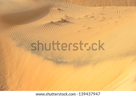 Landscape of the Sahara desert. It stretches from the Red Sea, including parts of the Mediterranean coasts, to the outskirts of the Atlantic Ocean.