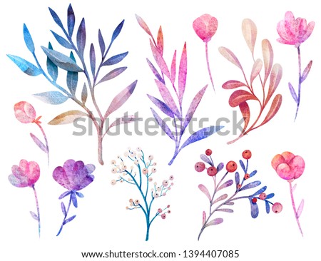 Watercolor set of different floral elements on a white background. Hand drawn
