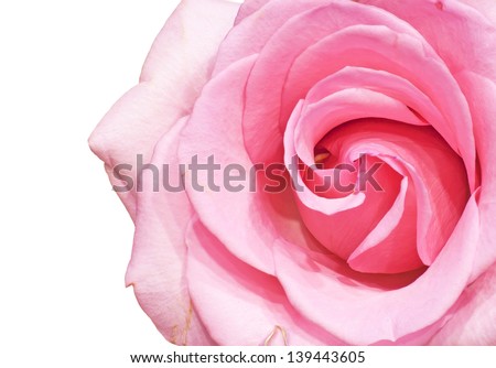 Wedding pink roses bouquet isolated on white background