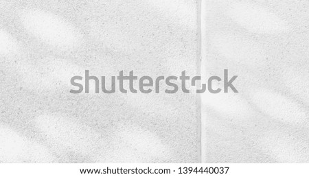 Abstract The gray background shadows of natural leaves that reflect the concrete walls the fallen branches on the white wall surface for the background and the monochrome wallpaper