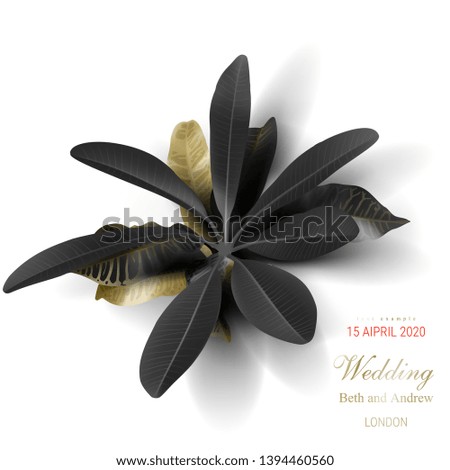 Tropical black and gold leaves on white background vector poster. Beautiful botanical design with golden tropic rainforest jungle leaves, exotic plants for invitation, greeting cards or sales banners